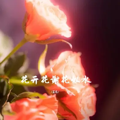 花开花谢花似水封面