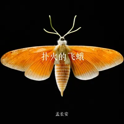 扑火的飞蛾封面