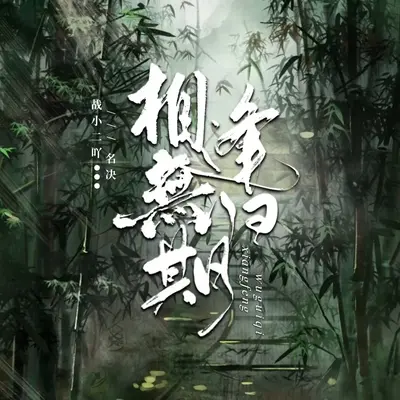 相逢无归期封面