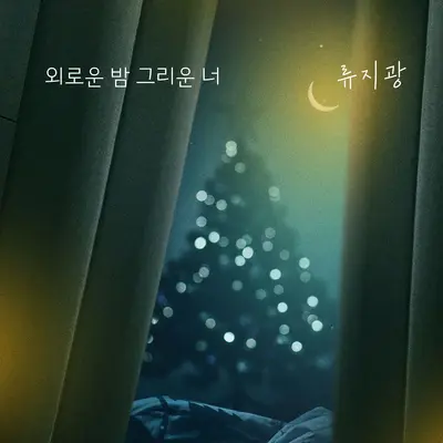 외로운 밤 그리운 너封面