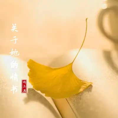 关于她的情书封面