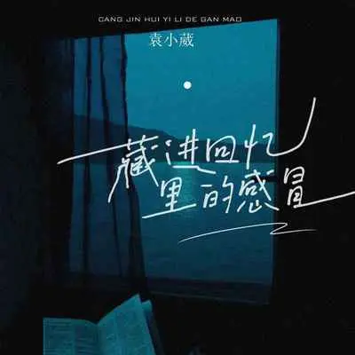 藏进回忆里的感冒(完整版)封面