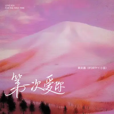 第一次爱你封面