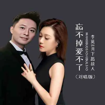 忘不掉爱不了 (DJ默涵对唱版)封面