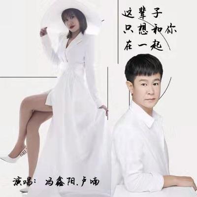 这辈子只想和你在一起(DJ默涵版伴奏)封面