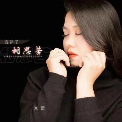 尝够了相思苦(DJ默涵版伴奏) - 米灵封面