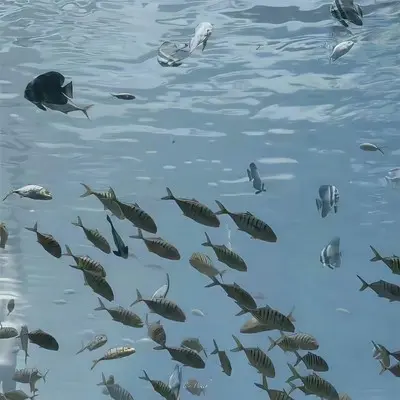 一步之遥封面