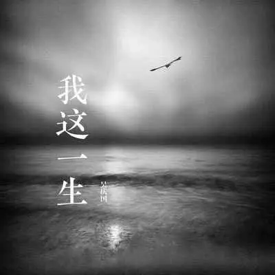 我这一生 (DJ小刚版)封面