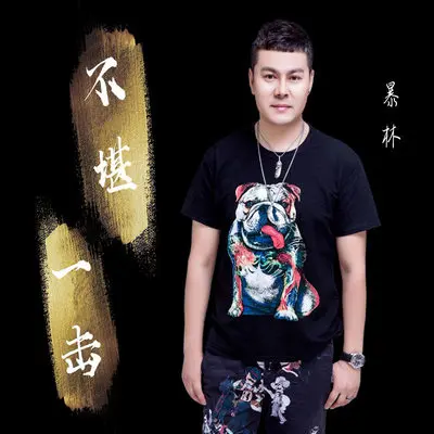 如果一切可以重来 (DJ版) - 暴林封面