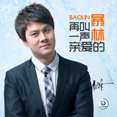 心都给了你 - 暴林封面