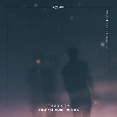 어떡해요 내 가슴이 그댈 원해요封面