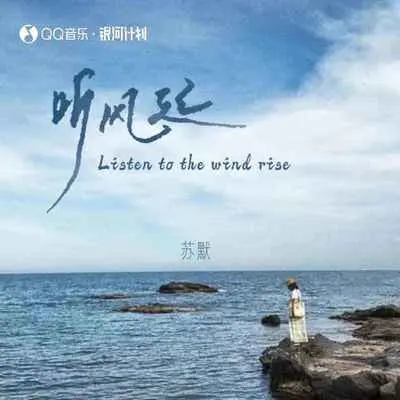 听风起 (伴奏) - 苏默封面