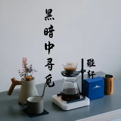 黑暗中寻觅封面
