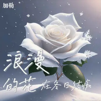 浪漫的花在冬日结痂 (加速版)封面