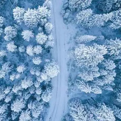 初雪 ( Christmas acoustic）封面
