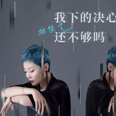 我下的决心还不够吗封面