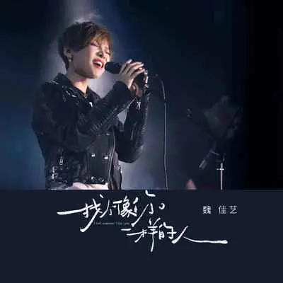 找个像你一样的人封面