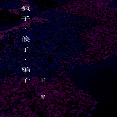 疯子傻子骗子封面