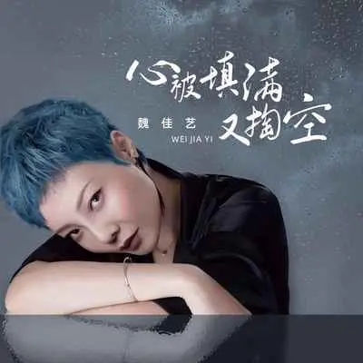 心被填满又掏空（DJ默涵版伴奏）封面