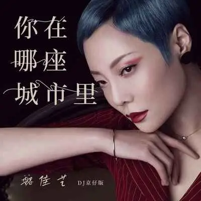 你在哪座城市里 (DJ京仔版)封面