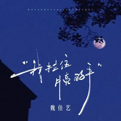 我拉住月亮的手封面