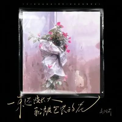 一束还没长大就被包装的花 - 刘阿莉封面