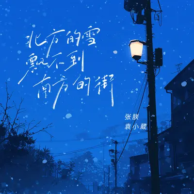 北方的雪飘不到南方的街封面