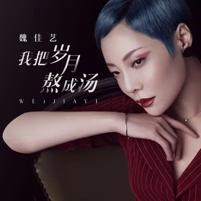 我把岁月熬成汤封面