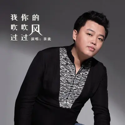 我吹过你吹过的风(伴奏)封面