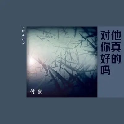 他真的对你好吗(伴奏) - 付豪封面