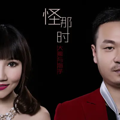 孤单狂欢封面
