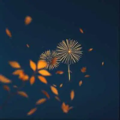 《焰火与落叶》封面