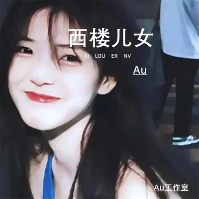 西楼儿女封面