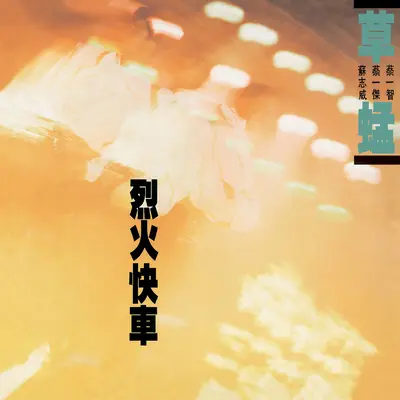 我是谁 - 草蜢封面