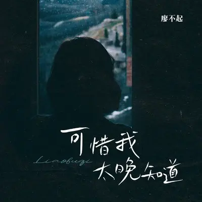 可惜我太晚知道(伴奏)封面