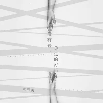 没有我，你过的好吗封面
