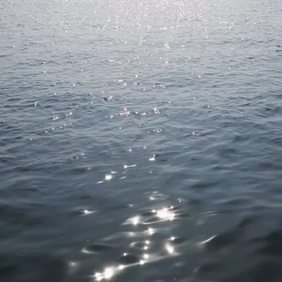 西湖水（纯音乐）封面