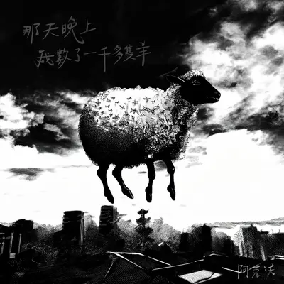 那天晚上 我数了一千多只羊封面