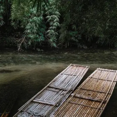 烟雨（轻音乐）封面