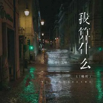 我算什么 (DJ Eva版)封面