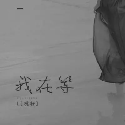 我在等封面