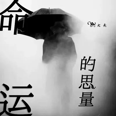 命运的思量（DJR7版）封面