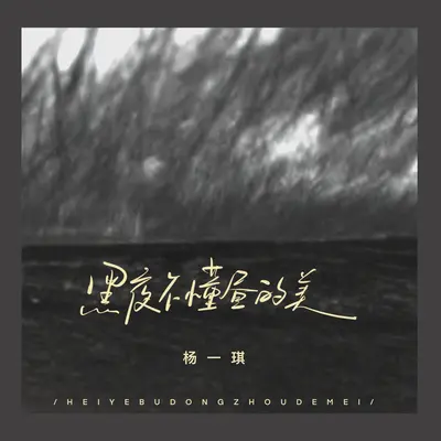 黑夜不懂昼的美封面