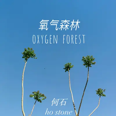氧气森林封面