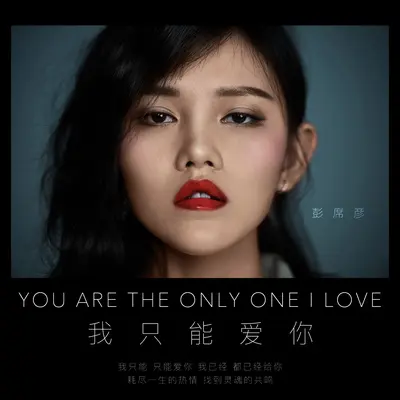 我只能爱你封面