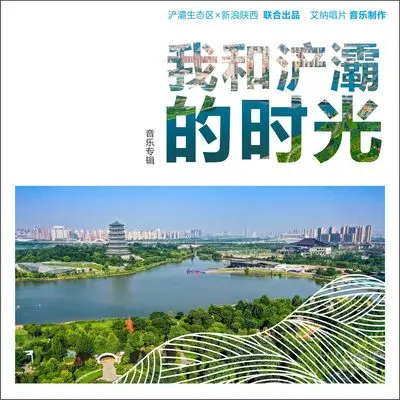 我和浐灞的时光(伴奏) - 崔亮封面