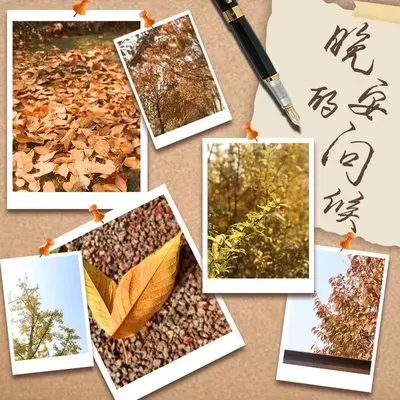 晚安的问候(伴奏)封面