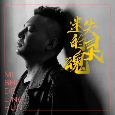 迷失的灵魂(伴奏)封面