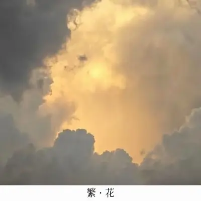 繁·花封面