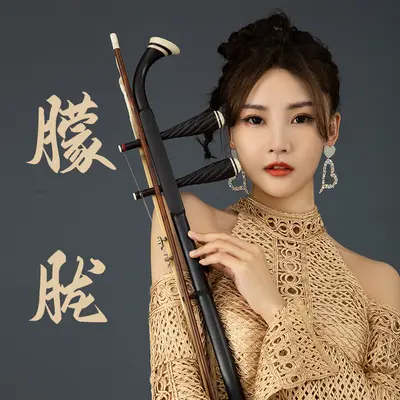 朦胧（二胡版）封面